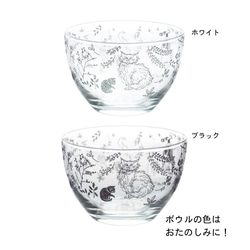 【数量限定】お得な5点／カルチャルキャット福袋／ECST047 13枚目の画像