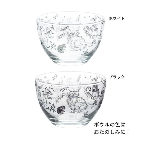 【数量限定】お得な5点／カルチャルキャット福袋／ECST047 13枚目の画像