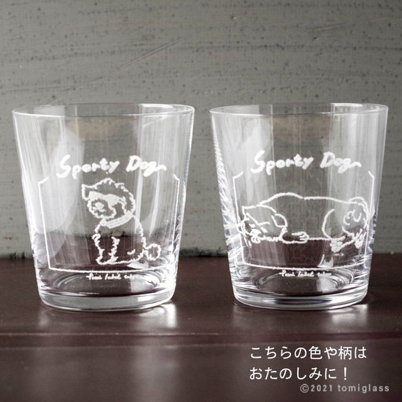 【数量限定】お得な5点／カルチャルキャット福袋／ECST047 11枚目の画像