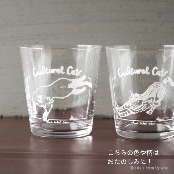 【数量限定】お得な5点／カルチャルキャット福袋／ECST047 10枚目の画像