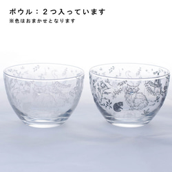 【数量限定】お得な5点／カルチャルキャット福袋／ECST047 3枚目の画像
