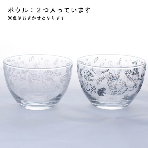 【数量限定】お得な5点／カルチャルキャット福袋／ECST047 3枚目の画像