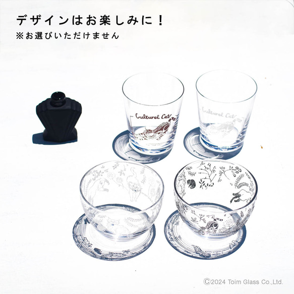 【数量限定】お得な5点／カルチャルキャット福袋／ECST047 12枚目の画像
