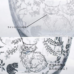 【数量限定】お得な5点／カルチャルキャット福袋／ECST047 14枚目の画像