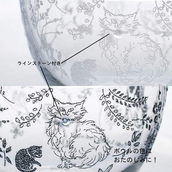 【数量限定】お得な5点／カルチャルキャット福袋／ECST047 14枚目の画像