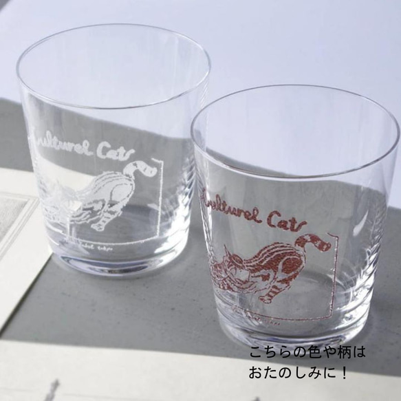 【数量限定】お得な5点／カルチャルキャット福袋／ECST047 8枚目の画像