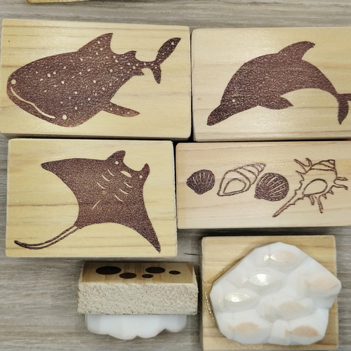 消しゴムはんこ♪ 241 海の生き物 ジンベイザメ マンタ イルカ 貝殻