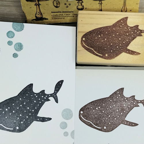 消しゴムはんこ No.241 ちびくまとグリーン 消しゴムはんこ♪ 241 海の生き物 ジンベイザメ マンタ イルカ 貝殻