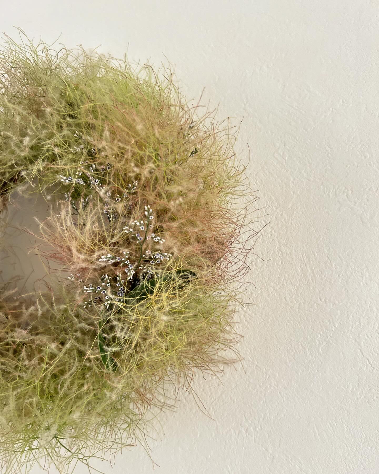 スモークツリーリース