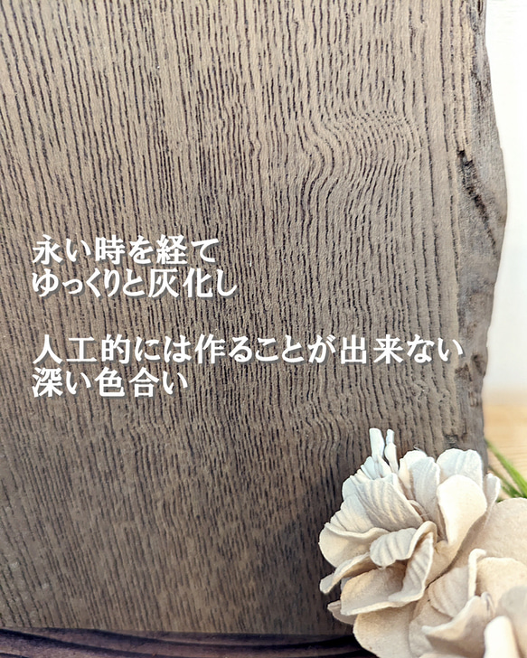 神代木の結婚証明書　神代欅1 