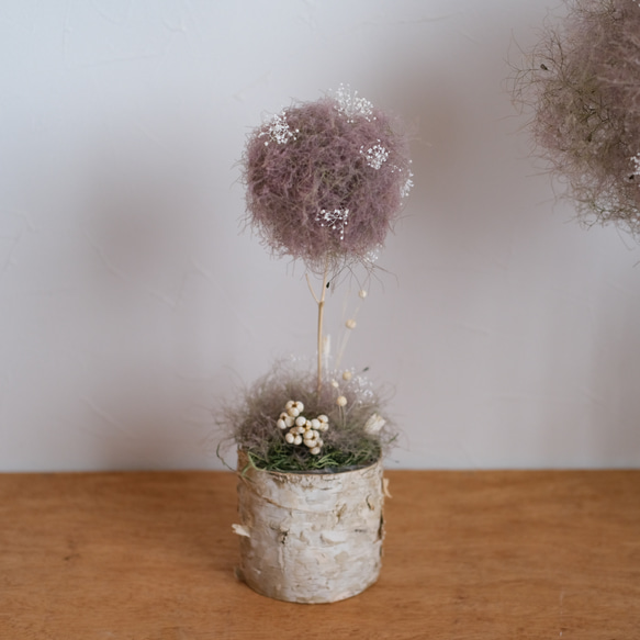 ふわふわスモークツリーのトピアリー＊ドライフラワー