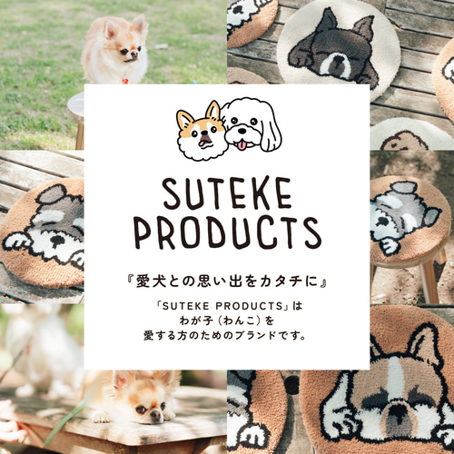 サマーセール中】【セミオーダー】うちの子オリジナルラグ うちの子