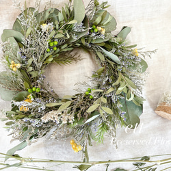 受注制作森の雰囲気リース 1点もの ・ 玄関ドアOK♪】貝殻とシーグラスの夏色リース H