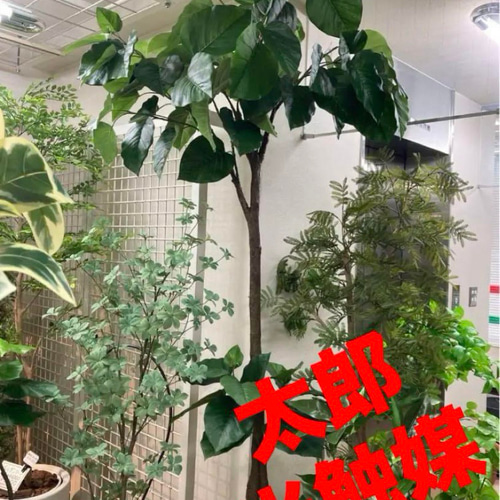 光触媒 人工観葉植物 ウォールグリーン フェイクグリーン