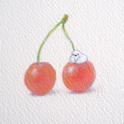 原画作品 ＊「 さくらんぼとシマエナガ 」 絵画 さらさまゆこ 通販