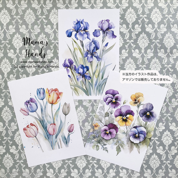 チューリップ あやめ パンジー 水彩画 イラスト アート 3枚 ハガキ  