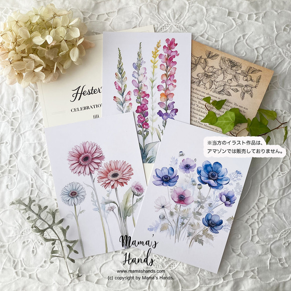 ガーベラ 金魚草 アネモネ 水彩画 イラスト アート 3枚 ハガキ ポスト