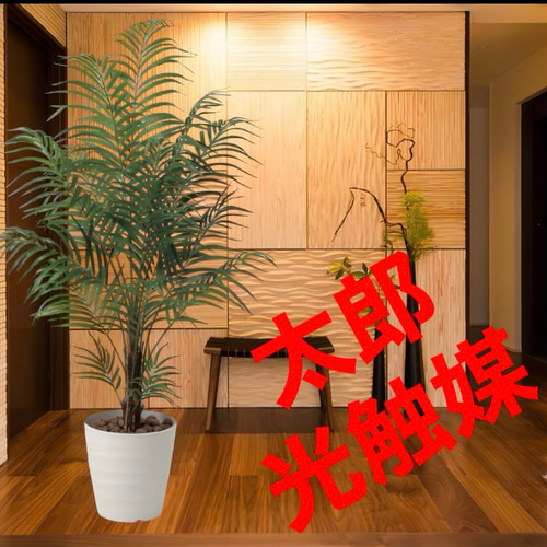 光触媒 人工観葉植物 ウォールグリーン フェイクグリーン アレカパーム