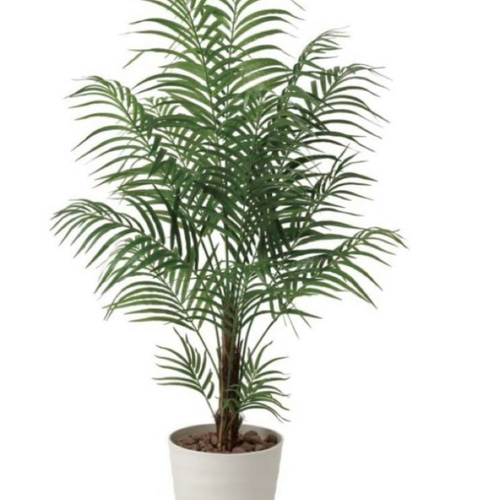 光触媒　人工観葉植物　ウォールグリーン　フェイクグリーン　アレカパーム1.5m 光触媒 人工観葉植物 ウォールグリーン フェイクグリーン アレカパーム