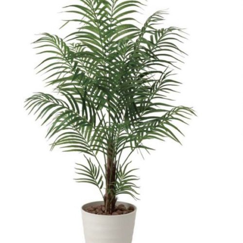 光触媒 人工観葉植物 ウォールグリーン フェイクグリーン アレカパーム