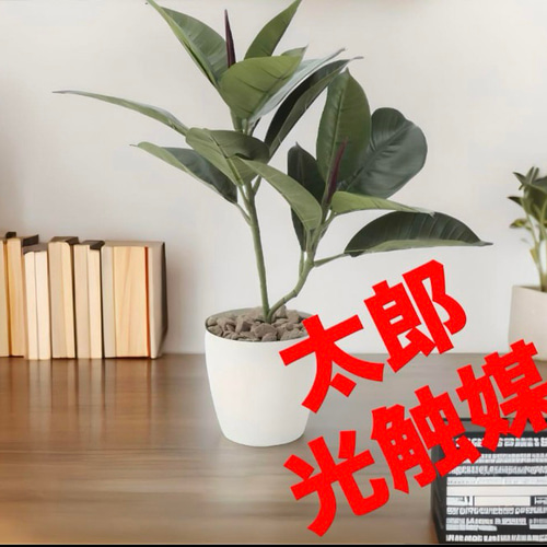 光触媒　人工観葉植物　ウォールグリーン　フェイクグリーン　ゴムノキaj 光触媒人工観葉植物ウォールグリーンフェイクグリーンゴムの木1.8