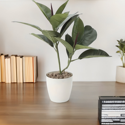 光触媒　人工観葉植物　ウォールグリーン　フェイクグリーン　ゴムノキaj 光触媒人工観葉植物ウォールグリーンフェイクグリーンゴムの木1.25m