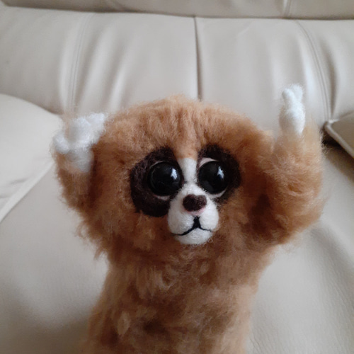 羊毛フェルト スローロリス 羊毛フェルト Kingこうた 通販 17892004