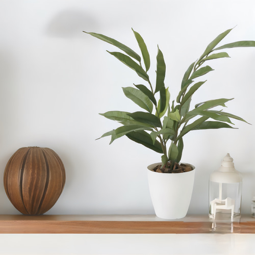 光触媒 人工観葉植物 フェイクグリーン アムステルラバーキング