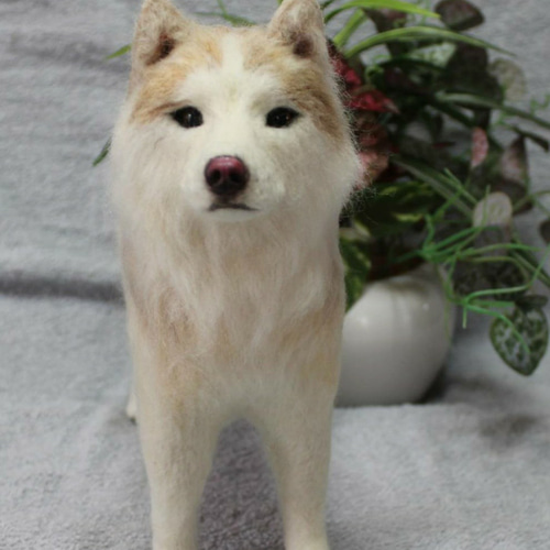 羊毛フェルト オーダー 「リアルで可愛いワンちゃん」柴犬 うち