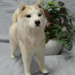 ハンドメイド　ウール手芸　犬　中身のみ レザー金具 『犬カン 内径2.4cm ニッケル 2個入り 71154