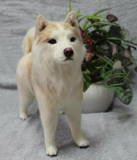 羊毛フェルト オーダー 「リアルで可愛いワンちゃん」シベリアンハスキー うちの子 羊毛フェルト オーダー 「リアルで可愛いワンちゃん」シベリアン