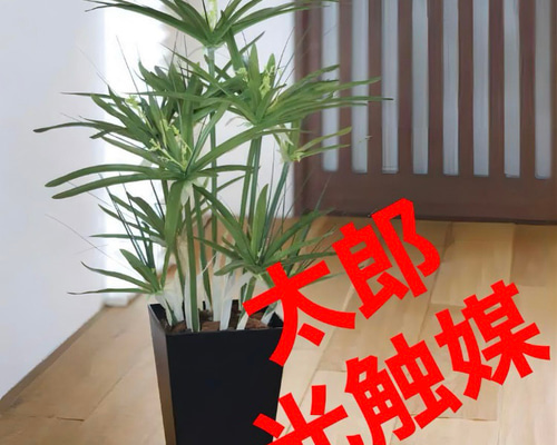 光触媒　人工観葉植物　ウォールグリーン　フェイクグリーン　パピルス60 光触媒 人工観葉植物 ウォールグリーン フェイクグリーン パピルス60