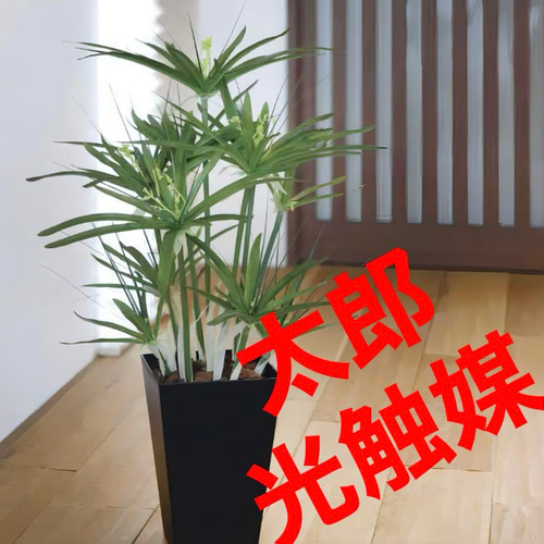 光触媒　人工観葉植物　ウォールグリーン　フェイクグリーン　パピルス60 光触媒 人工観葉植物 ウォールグリーン フェイクグリーン パピルス60