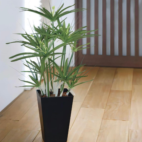 光触媒 人工観葉植物 ウォールグリーン フェイクグリーン パピルス60