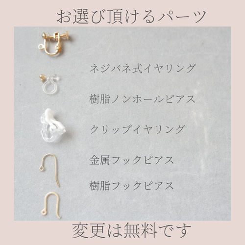 sakura様　950イヤリング　他サージカルステンレスフック 日本買い sakura様 950イヤリング 他サージカルステンレスフック