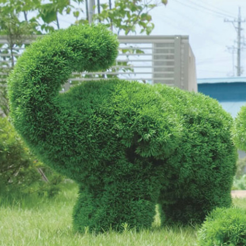 光触媒 人工観葉植物 ウォールグリーン フェイクグリーン ゾウs 【公式