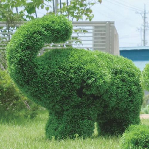 光触媒 人工観葉植物 ウォールグリーン フェイクグリーン ゾウs