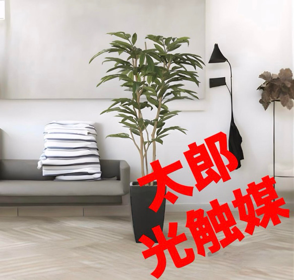 光触媒 人工観葉植物 フェイクグリーン アムステルラバーキング1.8