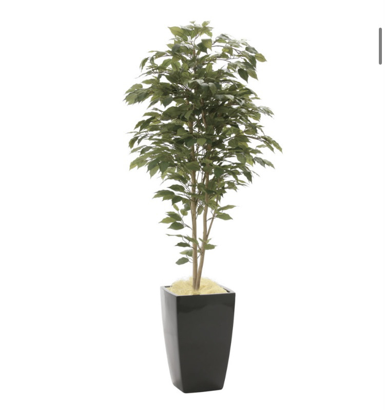 光触媒　人工観葉植物　ウォールグリーン　フェイクグリーン　アーバンベンジャミン1.8