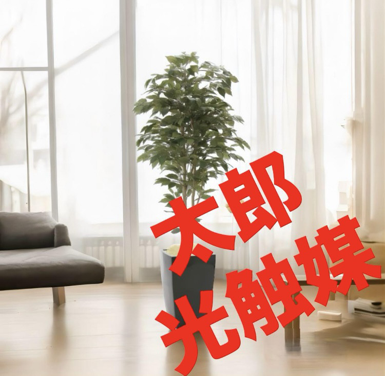 光触媒　人工観葉植物　ウォールグリーン　フェイクグリーン　アーバンベンジャミン1.8