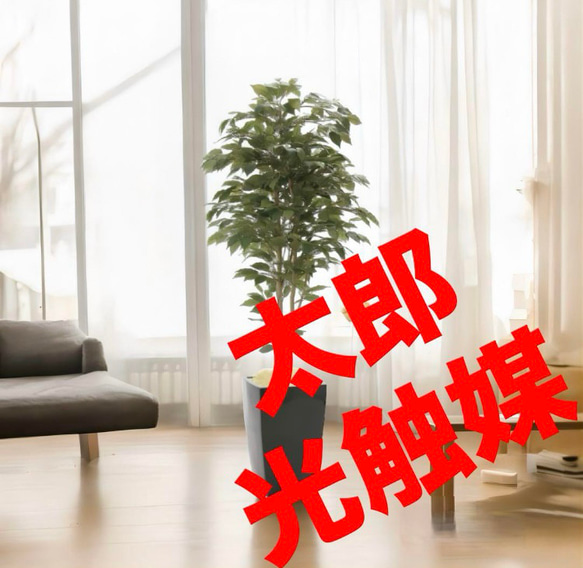 光触媒　人工観葉植物　ウォールグリーン　フェイク　フラワー　ベンジャミン@gja 光触媒 人工観葉植物 ウォールグリーン フェイクグリーン ベンジャミン