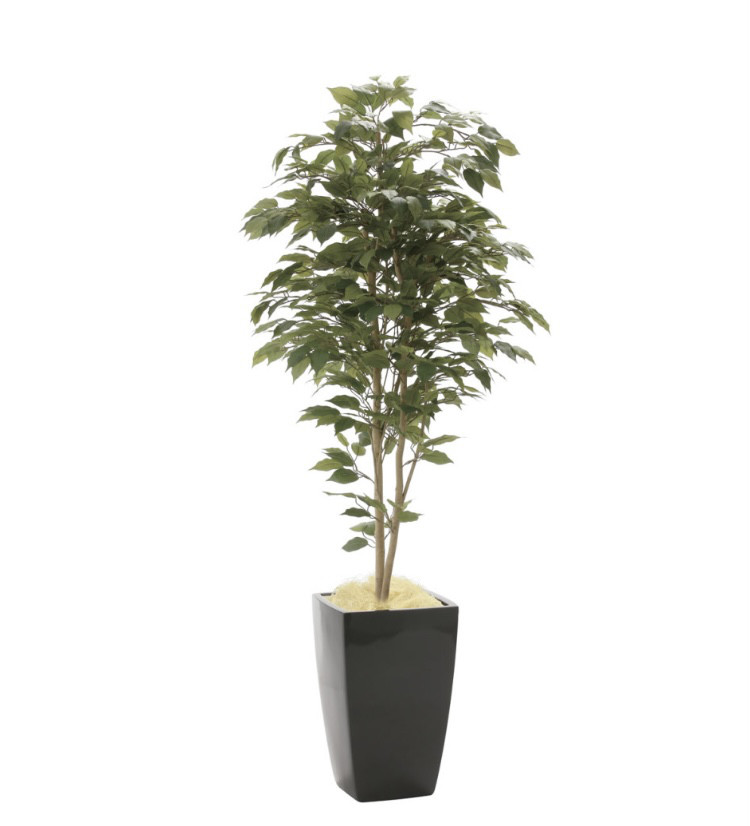 光触媒　人工観葉植物　ウォールグリーン　フェイクグリーン　アーバンベンジャミン1.8