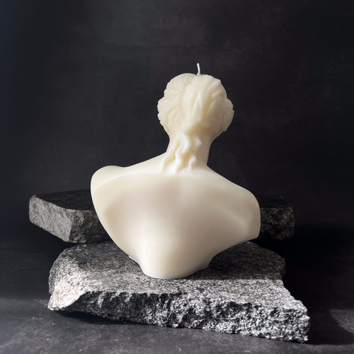 他にはないデザインをお探しの方に！ミロのヴィーナス｜アート