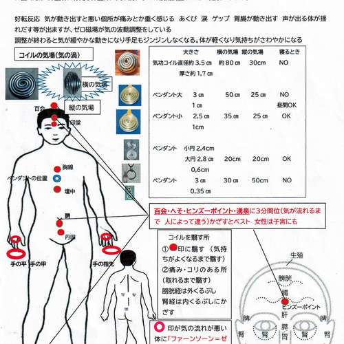 ゼロ磁場ペンダント大 足に気が流れ超健康に 電磁波対策にも 