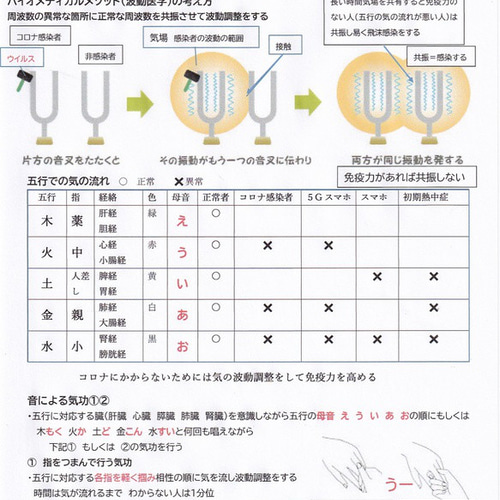 ゼロ磁場ペンダント大 足に気が流れ超健康に 電磁波対策にも 