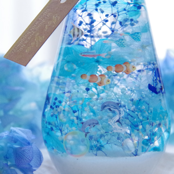 特集掲載！選べるイルカorクジラ】海の聲～水底の青の泡の音