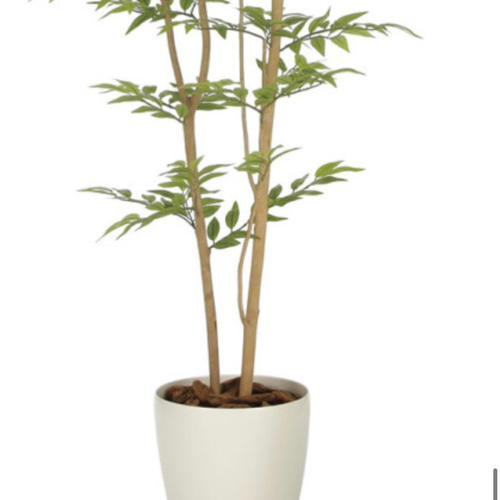 光触媒 人工観葉植物 ウォールグリーン フェイクグリーン ソヨゴ