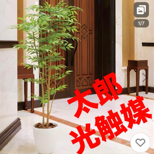 光触媒 人工観葉植物 ウォールグリーン フェイクグリーン ソヨゴ