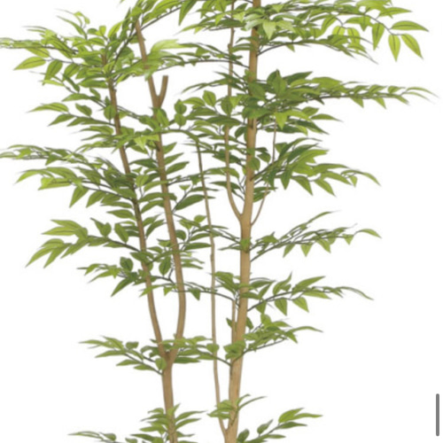 光触媒 人工観葉植物 ウォールグリーン フェイクグリーン ソヨゴ1.6m