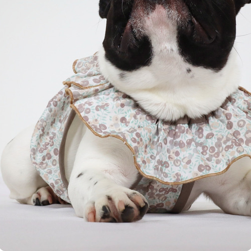オーダーメイド犬服のベージュチェックワンピース : オーダー